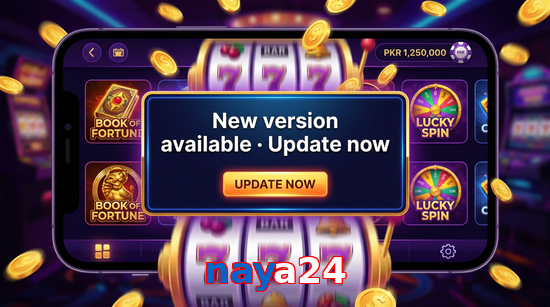 Payment and PKR controls in Naya24